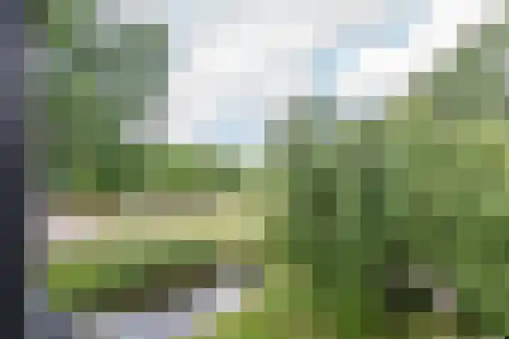 Bijdorplaan 179 Zoetermeer thumbnail 7