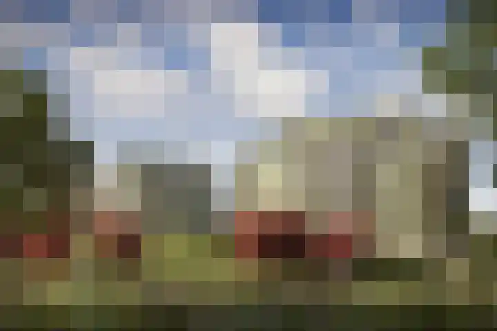 Bijdorplaan 2 D Zoetermeer thumbnail 4