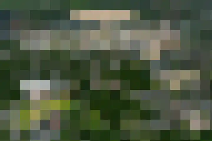 Bijdorplaan 2 D Zoetermeer thumbnail 5