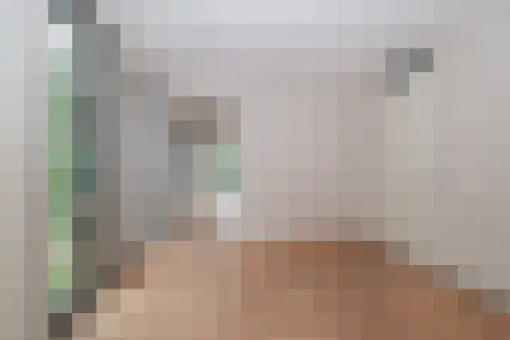 Bijdorplaan 221 Zoetermeer thumbnail 12