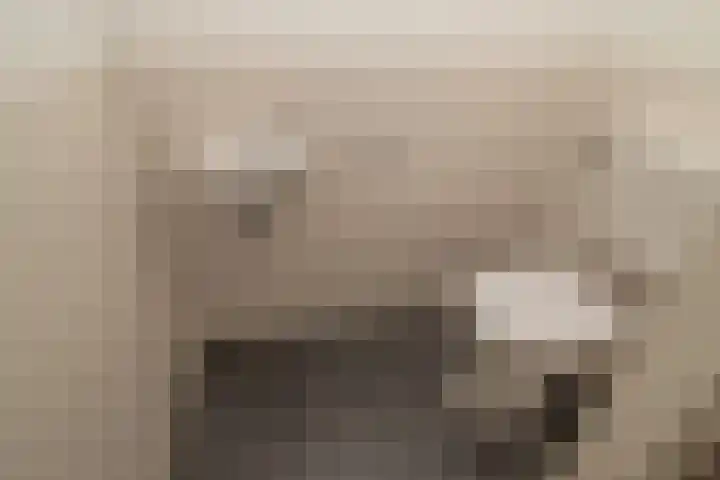 Bijdorplaan 221 Zoetermeer thumbnail 17