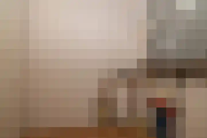 Bijdorplaan 221 Zoetermeer thumbnail 18