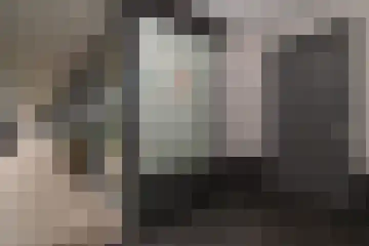 Bijdorplaan 221 Zoetermeer thumbnail 19