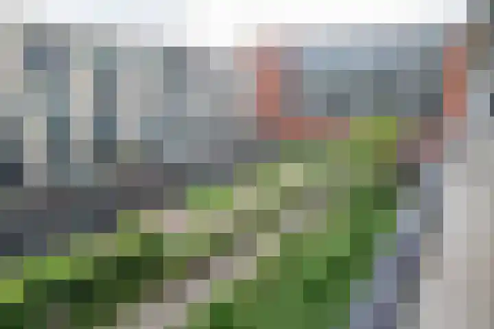 Bijdorplaan 221 Zoetermeer thumbnail 20