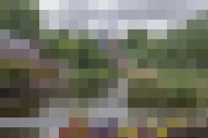 Bijdorplaan 221 Zoetermeer thumbnail 21