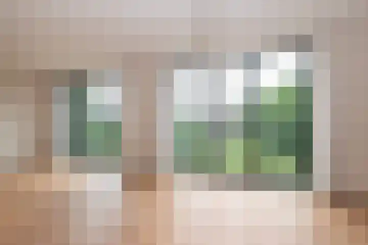 Bijdorplaan 221 Zoetermeer thumbnail 5