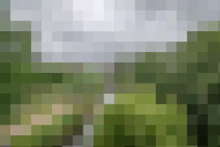 Bijdorplaan 221 Zoetermeer thumbnail 7