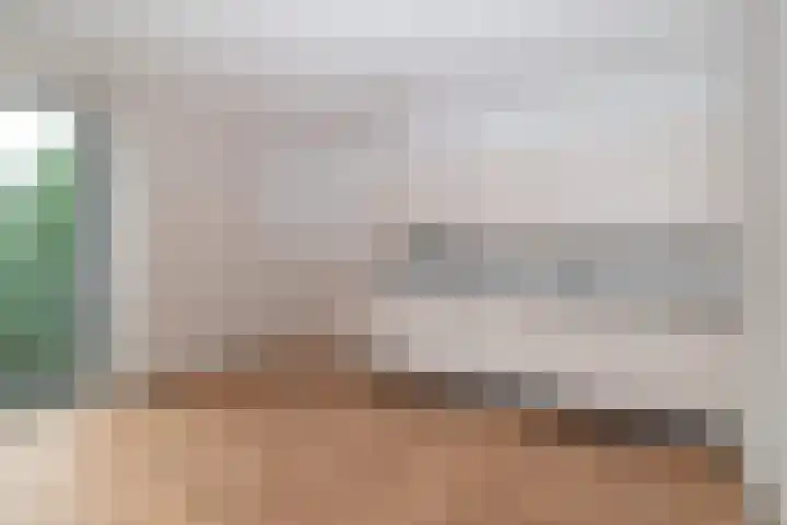Bijdorplaan 221 Zoetermeer thumbnail 9