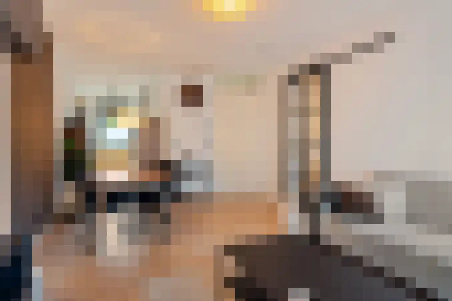 Bijdorplaan 338 Zoetermeer thumbnail 19