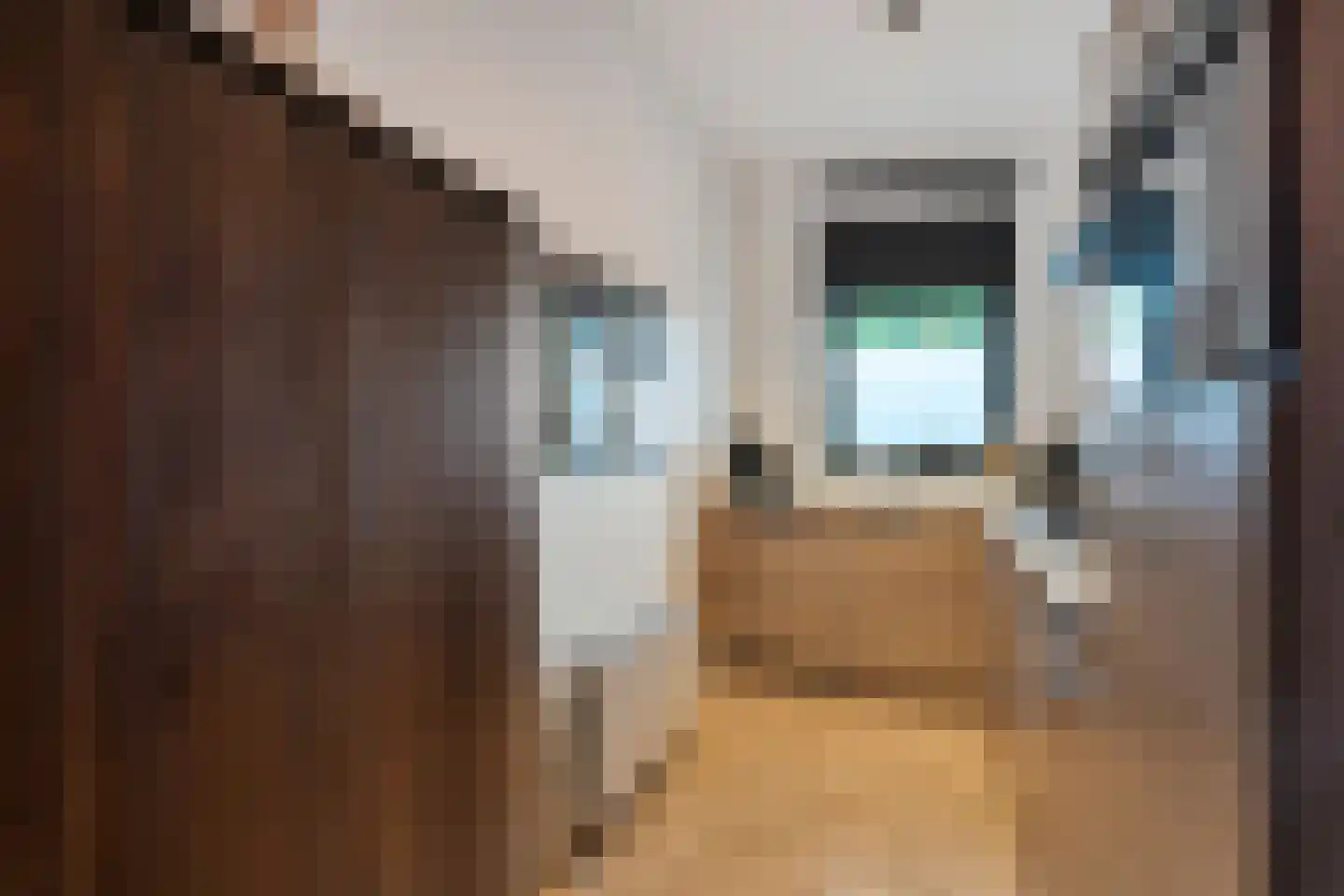 Bijdorplaan 338 Zoetermeer thumbnail 22