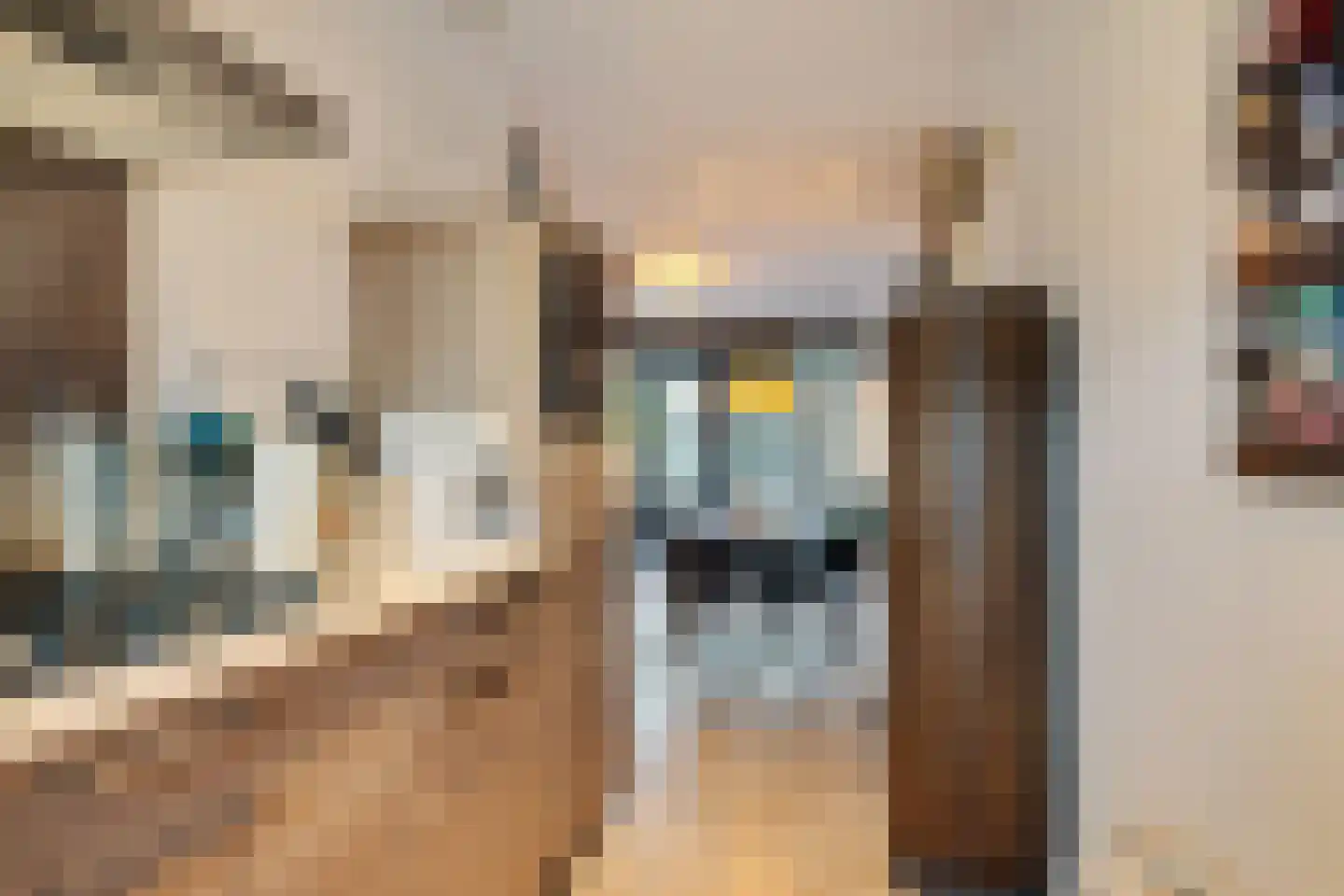 Bijdorplaan 338 Zoetermeer thumbnail 24