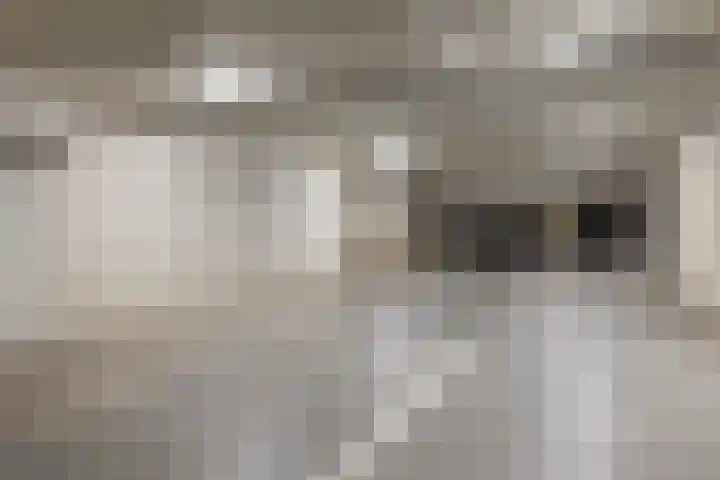 Bijdorplaan 340 Zoetermeer thumbnail 18