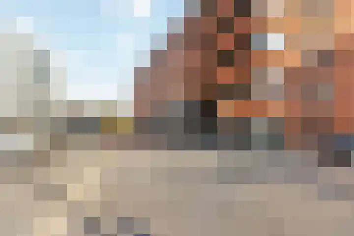 Bijdorplaan 340 Zoetermeer thumbnail 22