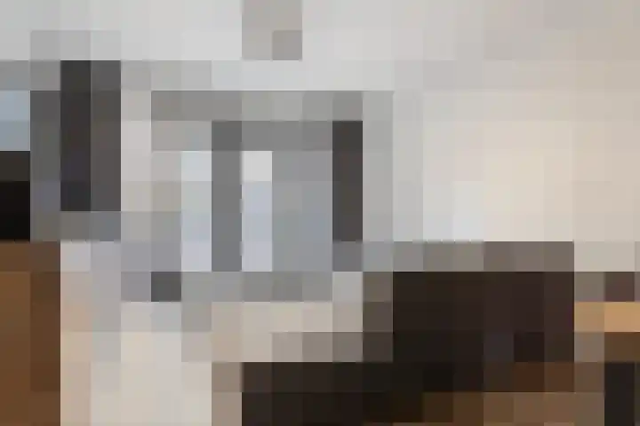 Bijdorplaan 340 Zoetermeer thumbnail 4