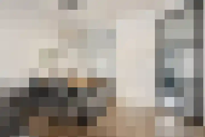 Bijdorplaan 340 Zoetermeer thumbnail 5