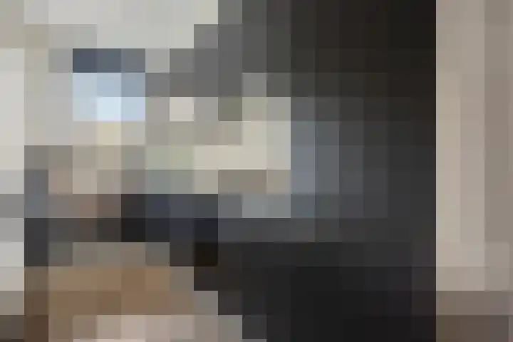 Bijdorplaan 340 Zoetermeer thumbnail 7