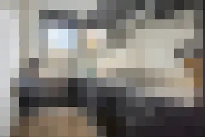 Bijdorplaan 340 Zoetermeer thumbnail 8