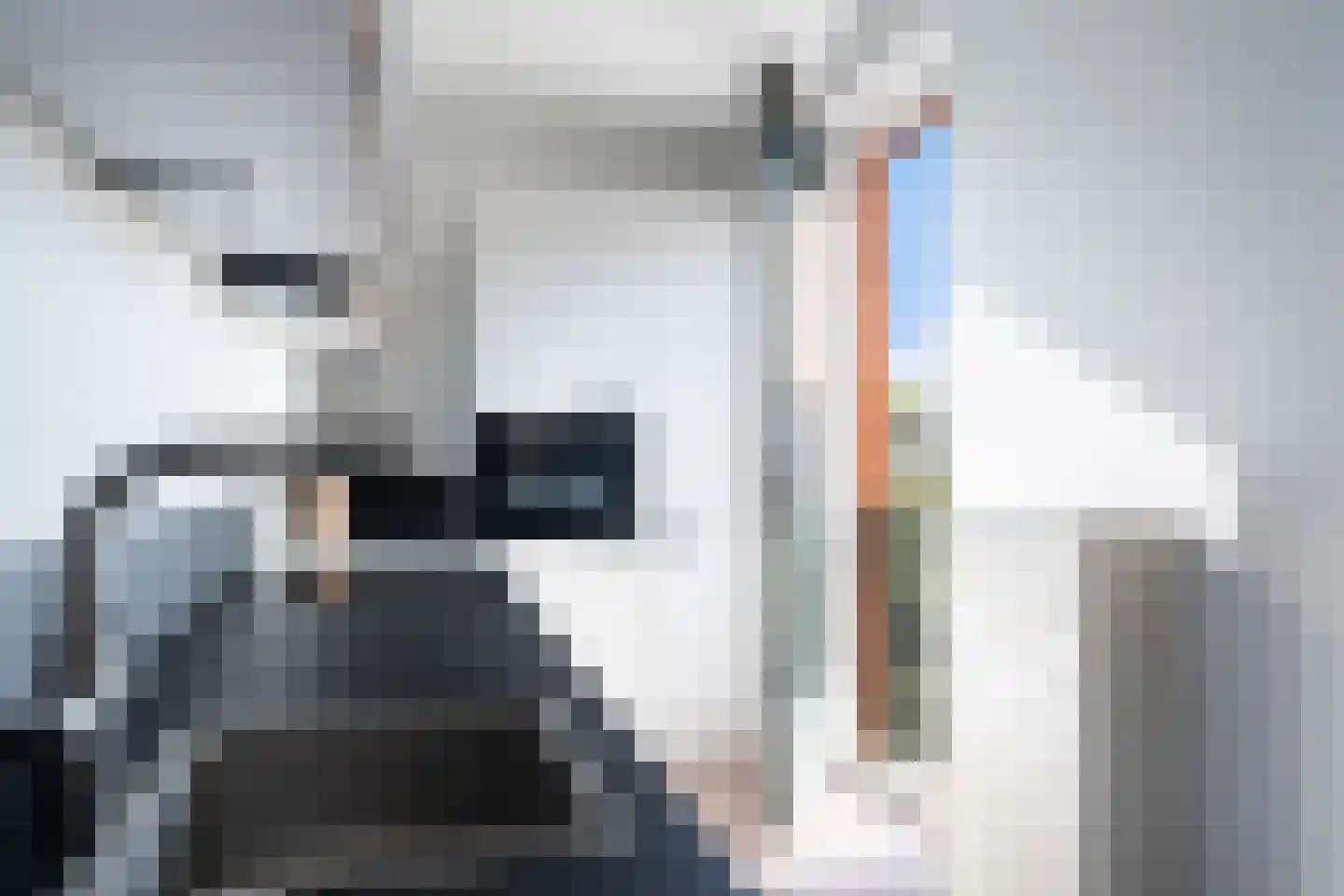 Bijdorplaan 364 Zoetermeer thumbnail 19
