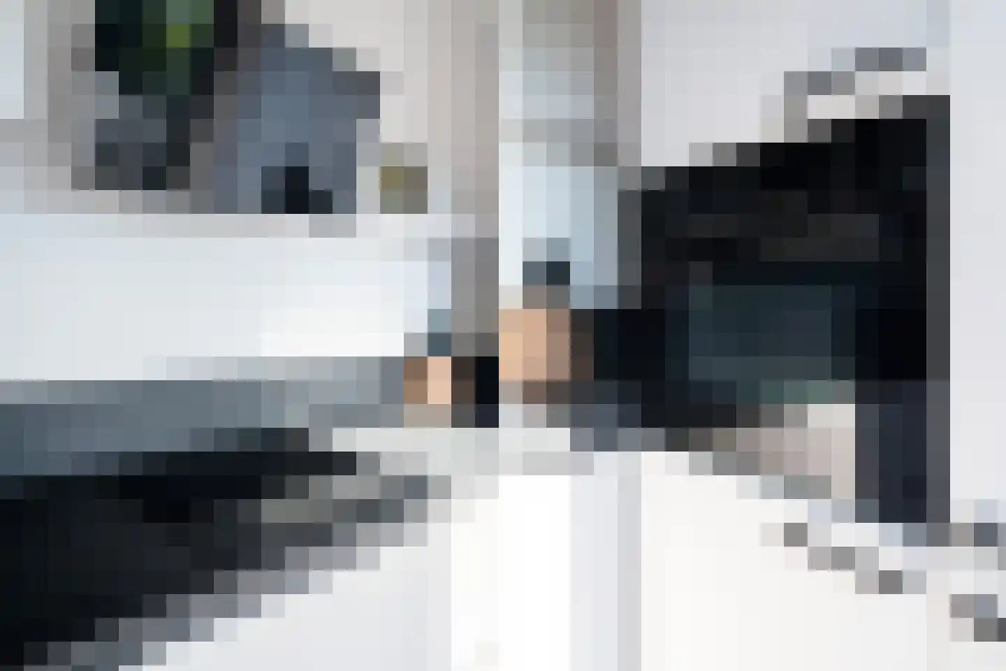 Bijdorplaan 364 Zoetermeer thumbnail 21
