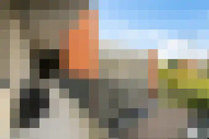 Bijdorplaan 382 Zoetermeer thumbnail 10