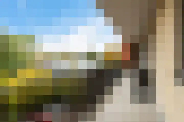 Bijdorplaan 382 Zoetermeer thumbnail 11