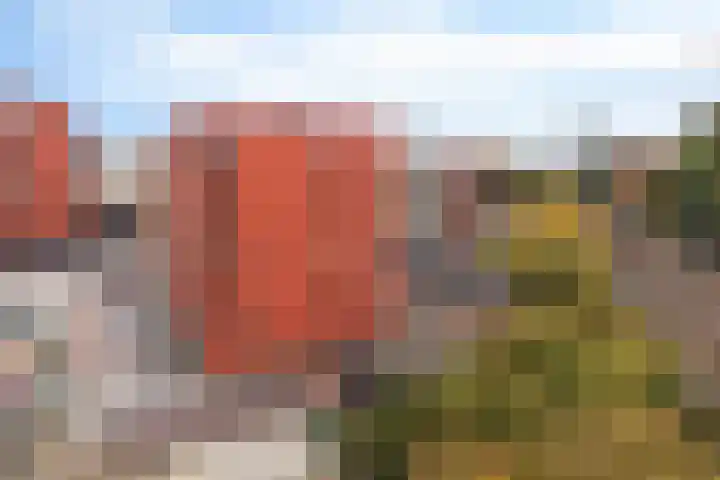 Bijdorplaan 382 Zoetermeer thumbnail 31