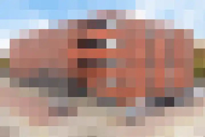 Bijdorplaan 382 Zoetermeer thumbnail 4