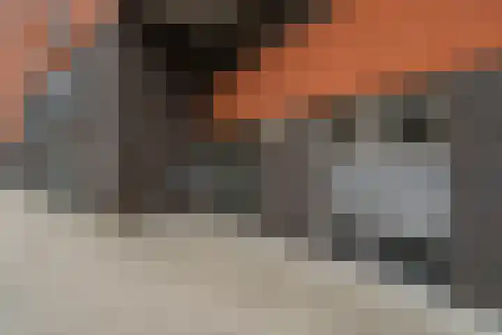 Bijdorplaan 382 Zoetermeer thumbnail 6