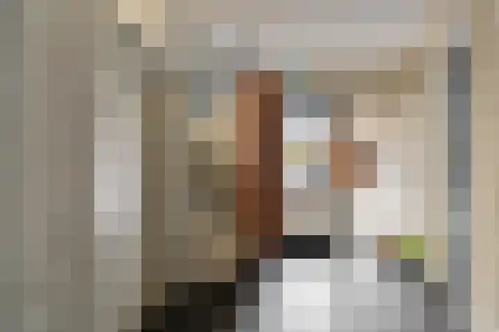 Bijdorplaan 382 Zoetermeer thumbnail 7