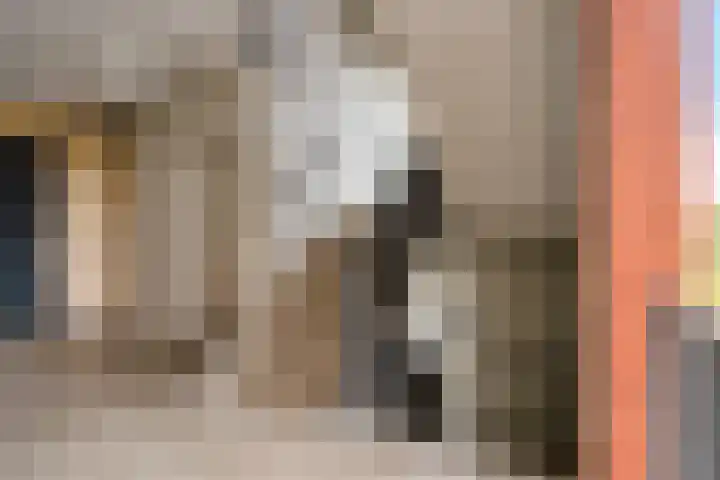 Bijdorplaan 382 Zoetermeer thumbnail 9