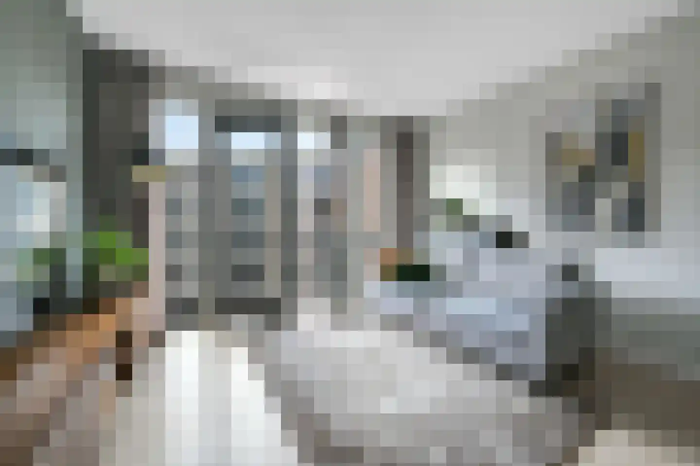 Bijdorplaan 392 Zoetermeer thumbnail 20
