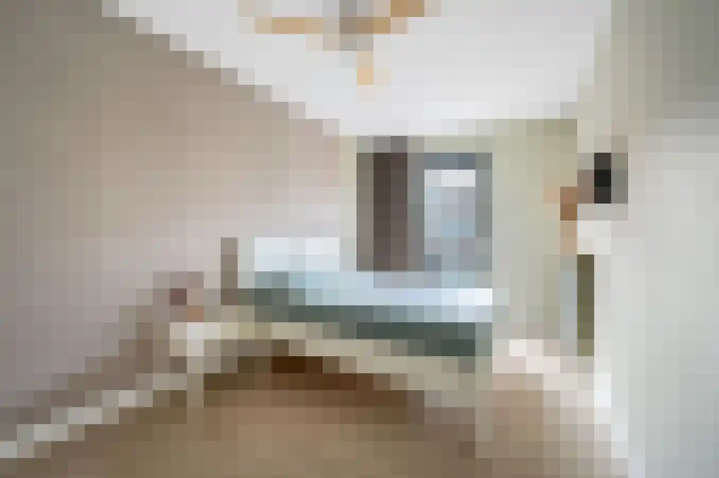 Bijdorplaan 392 Zoetermeer thumbnail 22