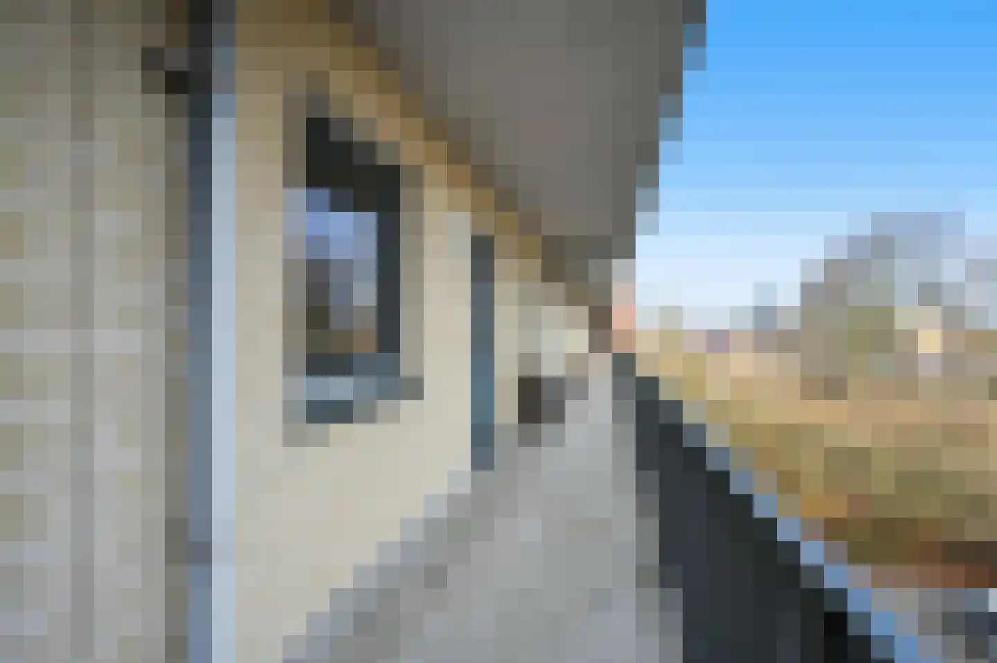 Bijdorplaan 392 Zoetermeer thumbnail 8
