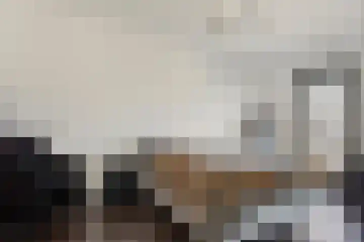 Bijdorplaan 414 Zoetermeer thumbnail 10