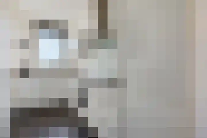 Bijdorplaan 414 Zoetermeer thumbnail 5