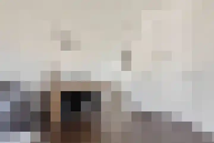 Bijdorplaan 414 Zoetermeer thumbnail 9