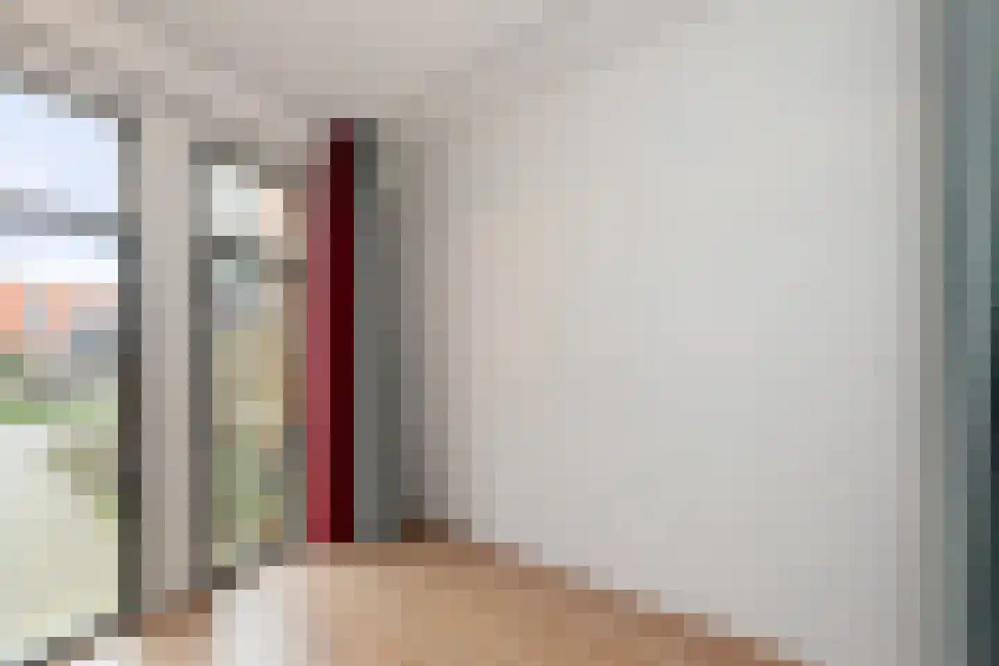 Bijdorplaan 55 Zoetermeer thumbnail 19