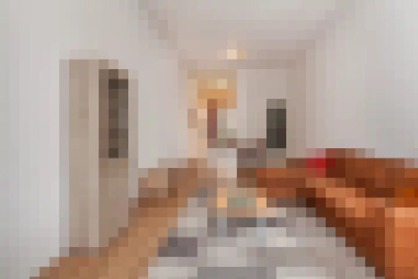 Bijdorplaan 55 Zoetermeer thumbnail 5