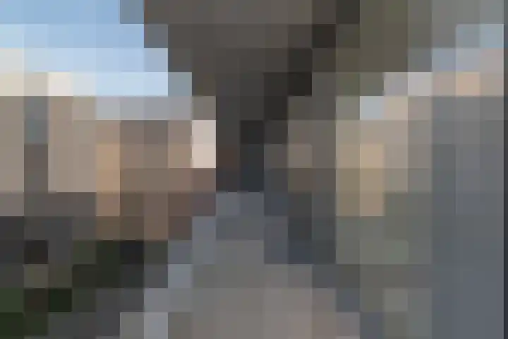 Bijdorplaan 77 Zoetermeer thumbnail 18