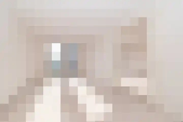 Bijdorplaan 77 Zoetermeer thumbnail 9
