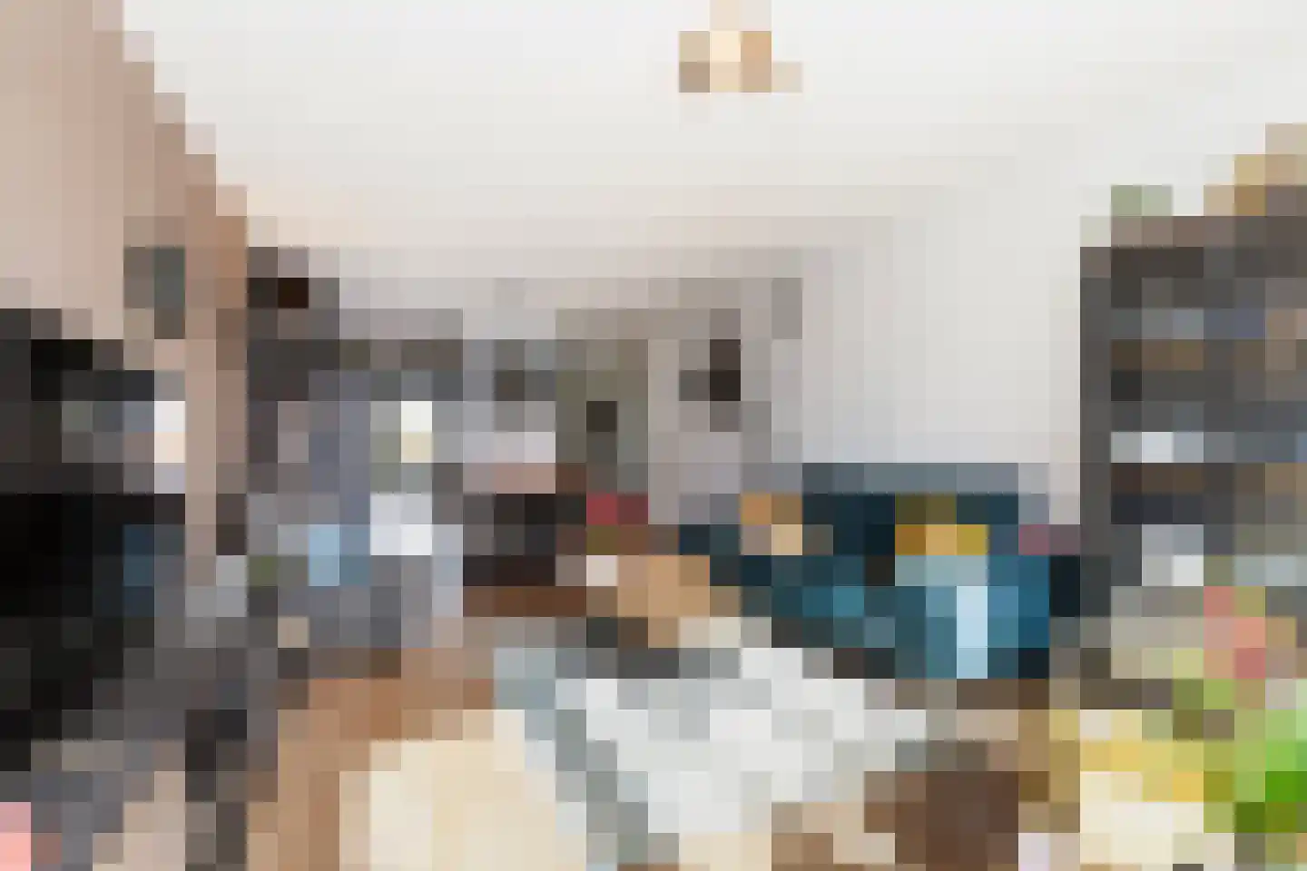 Bijdorplaan 79 Zoetermeer thumbnail 4