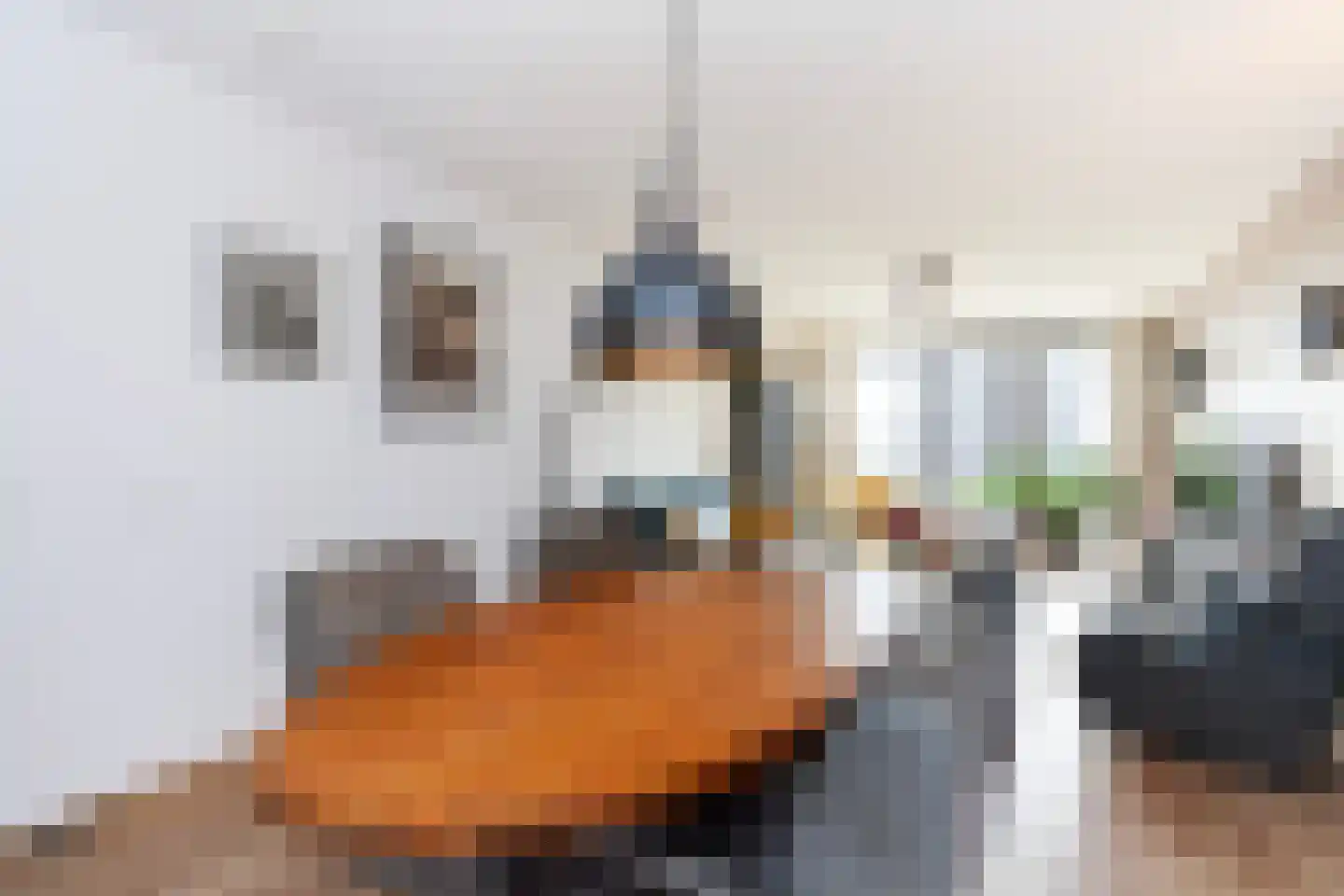 Bijdorplaan 79 Zoetermeer thumbnail 6
