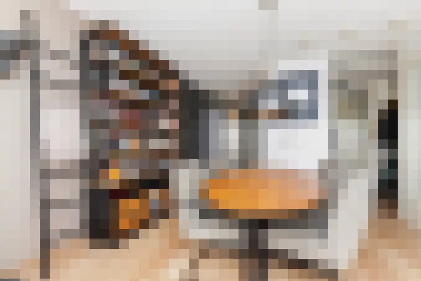 Bijdorplaan 79 Zoetermeer thumbnail 7