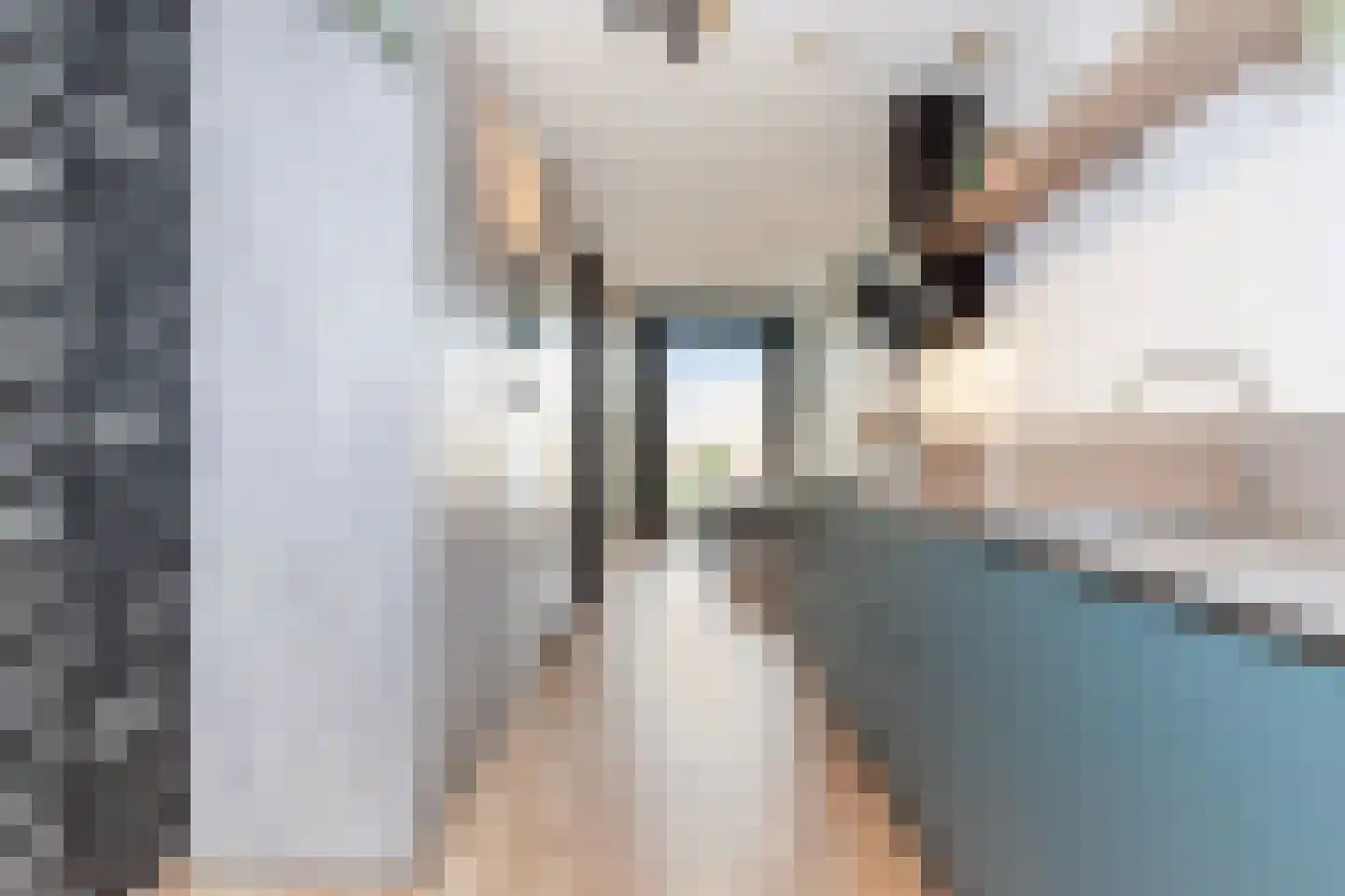 Bijdorplaan 79 Zoetermeer thumbnail 8