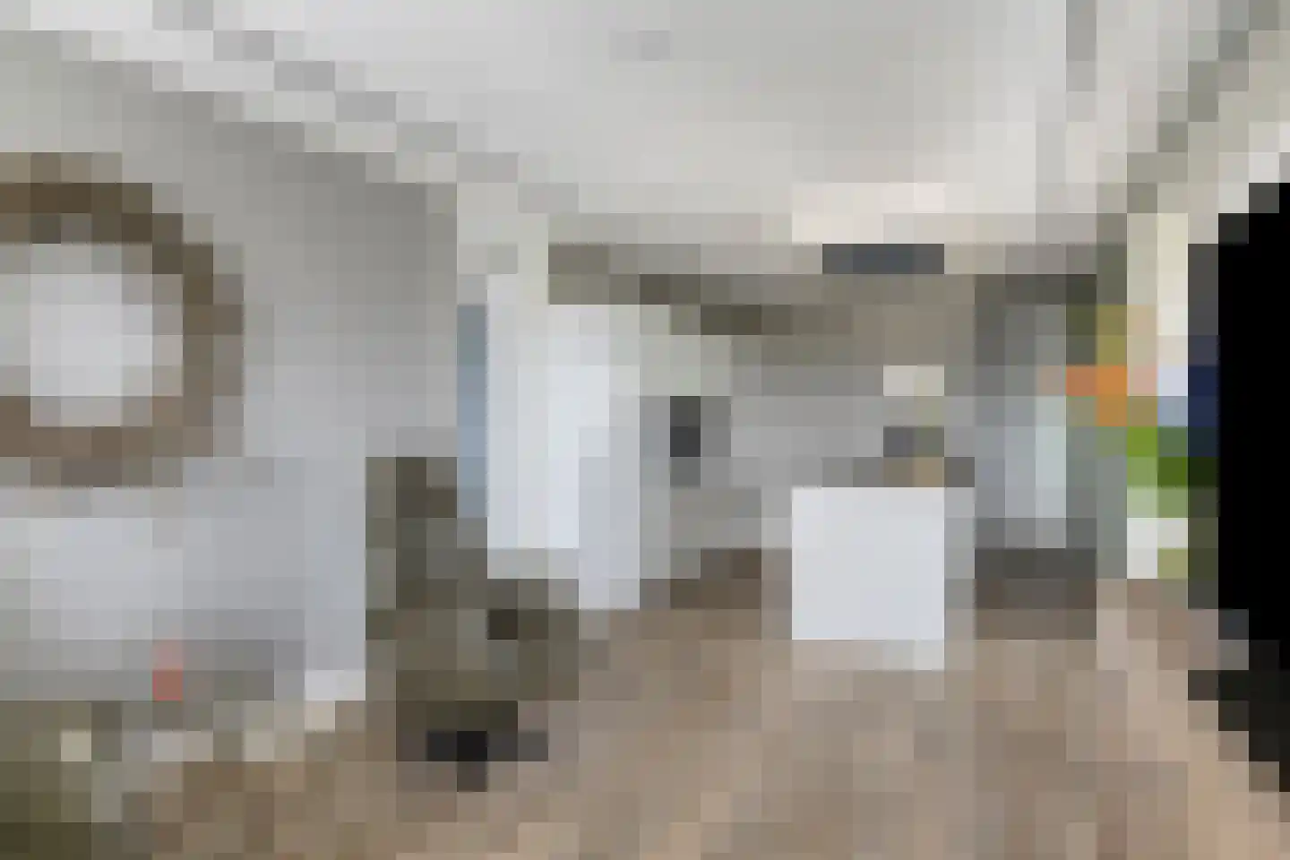 Bijdorplaan 82 Zoetermeer thumbnail 11