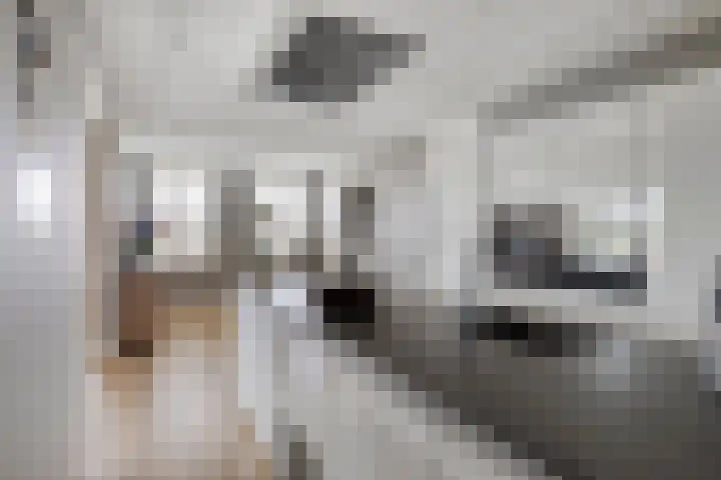 Bijdorplaan 82 Zoetermeer thumbnail 12