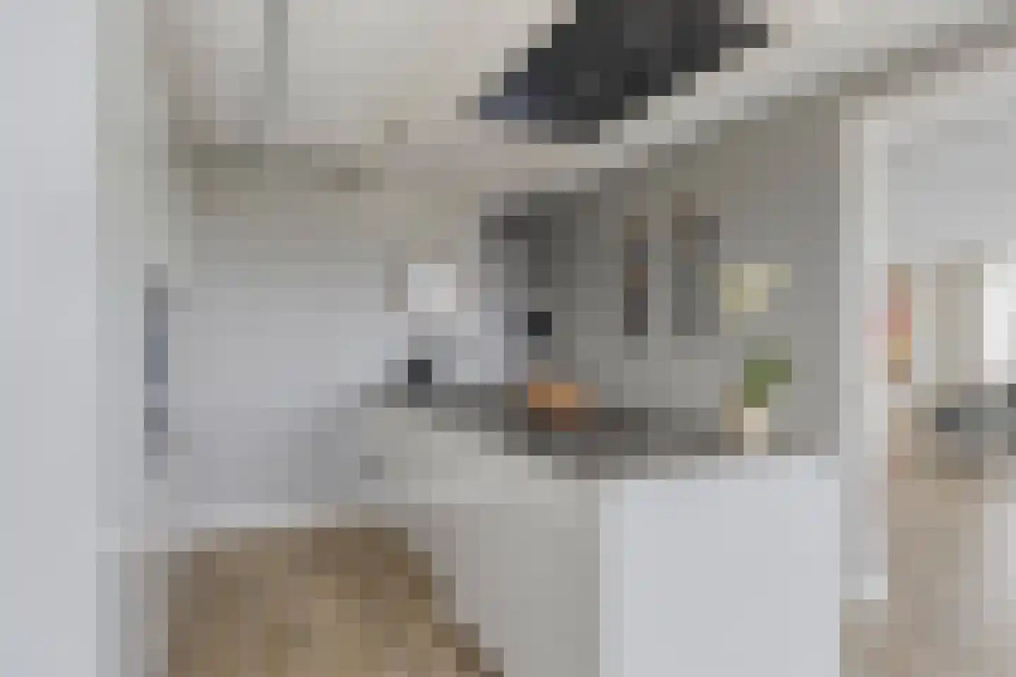 Bijdorplaan 82 Zoetermeer thumbnail 13