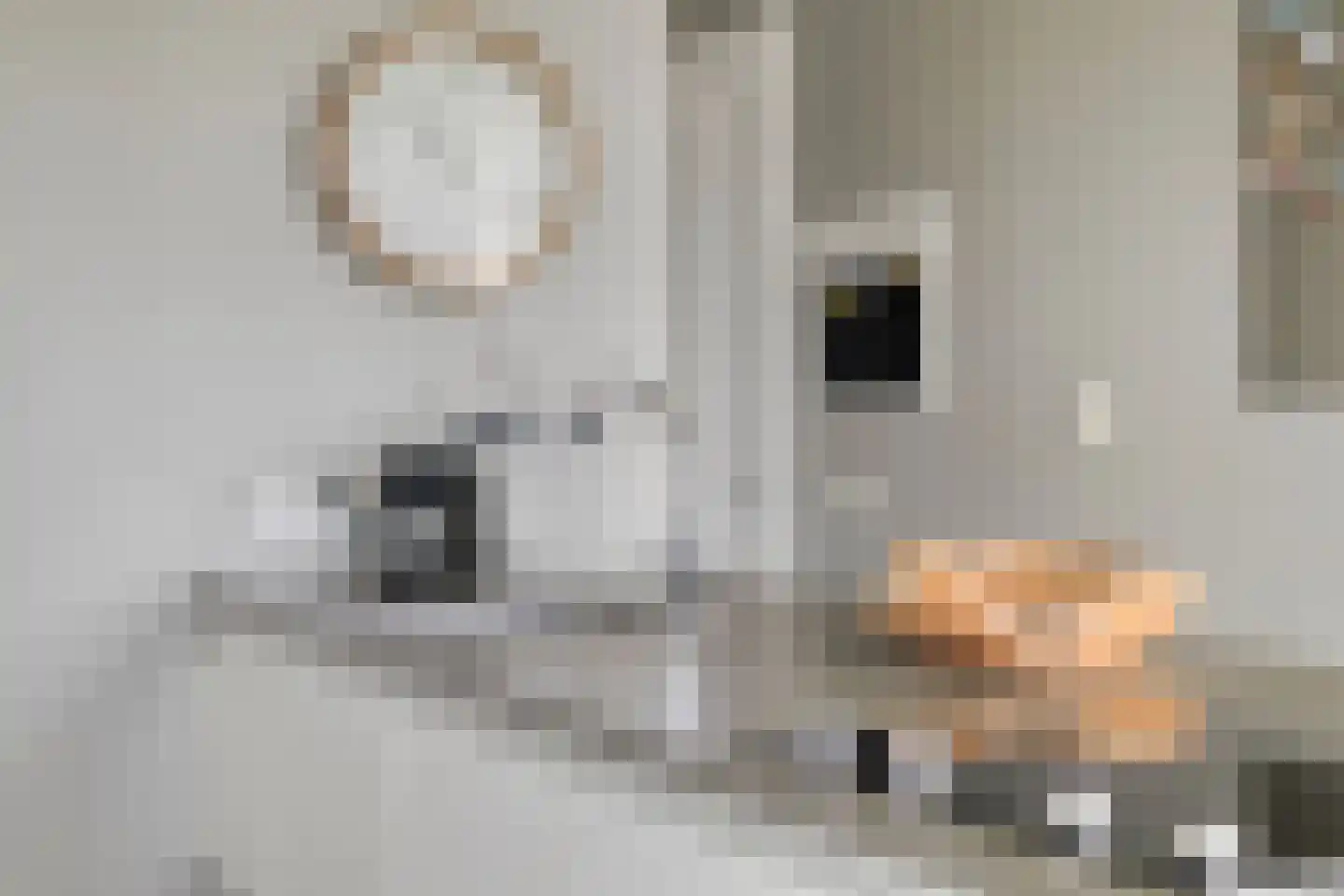 Bijdorplaan 82 Zoetermeer thumbnail 14