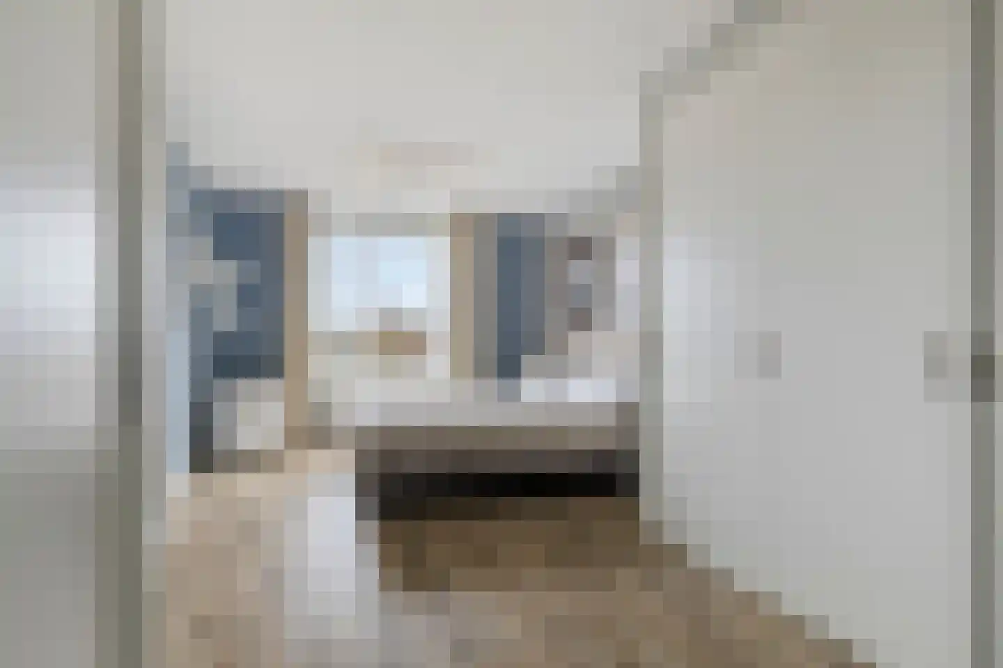 Bijdorplaan 82 Zoetermeer thumbnail 16