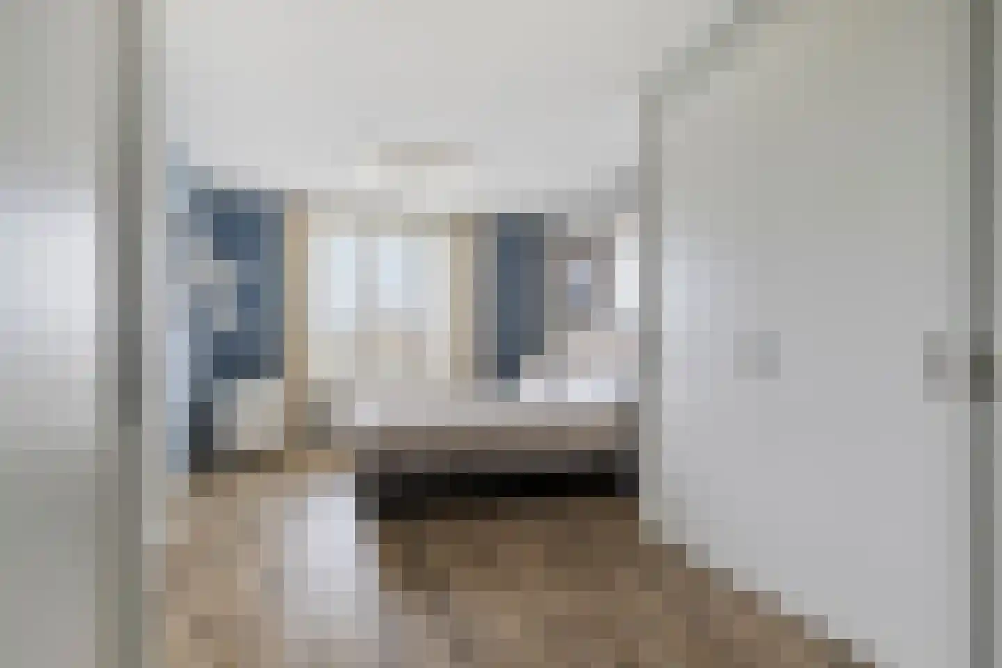 Bijdorplaan 82 Zoetermeer thumbnail 18